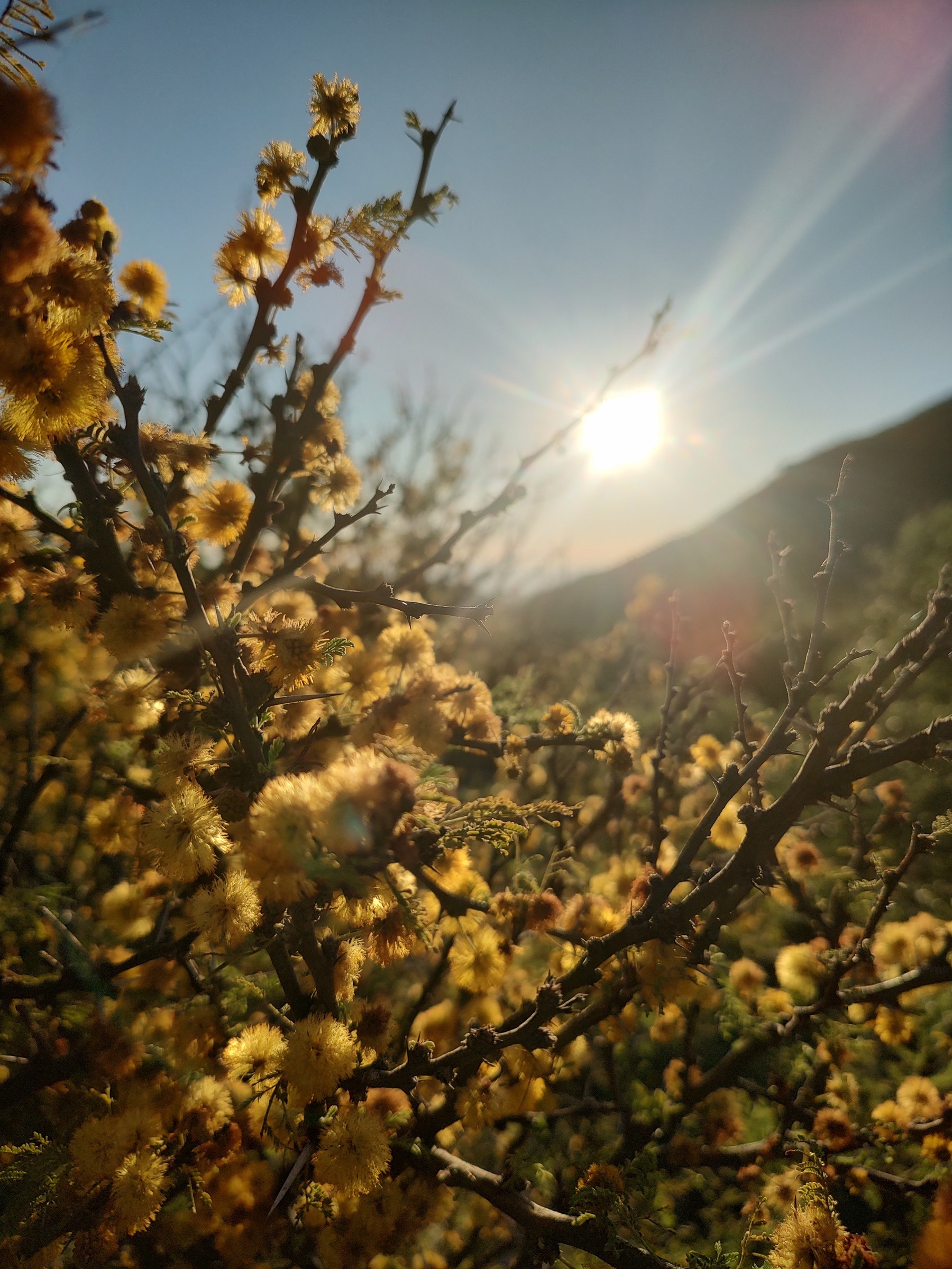 Trekking y cabalgatas en las sierras con Sentí Córdoba 3